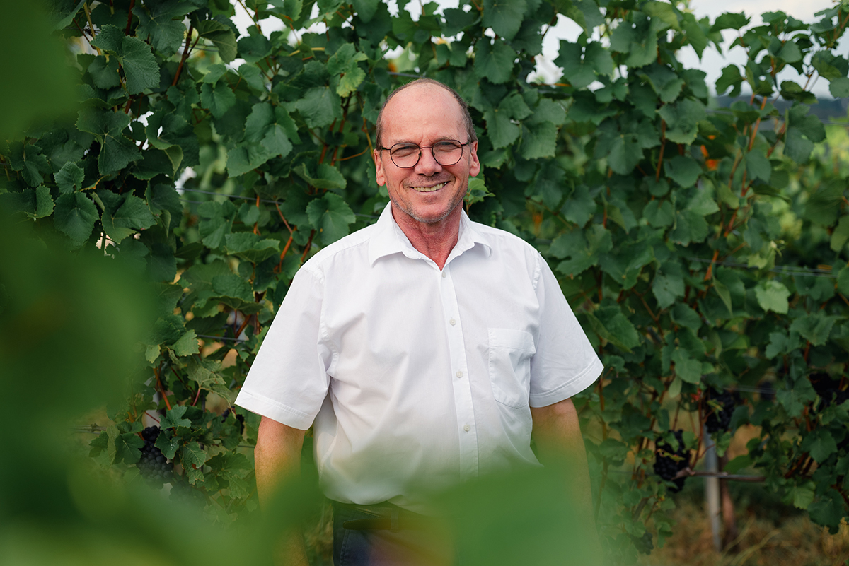 Friedrich Sommerhalter, Gründer des Weinguts Sommerhalter, in den Weinbergen im Markgräflerland, Baden – Familienweingut mit Tradition und Erfahrung