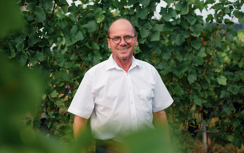 Friedrich Sommerhalter, Gründer des Weinguts Sommerhalter, in den Weinbergen im Markgräflerland, Baden – Familienweingut mit Tradition und Erfahrung